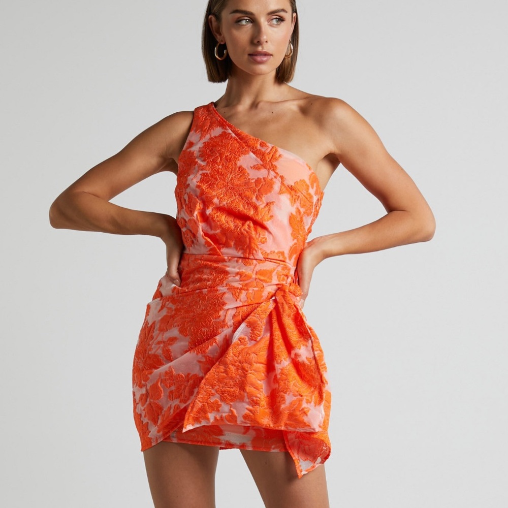 Showpo Brailey Mini Dress